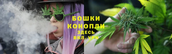 ПСИЛОЦИБИНОВЫЕ ГРИБЫ Алексин