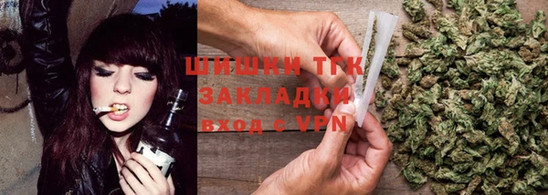 ПСИЛОЦИБИНОВЫЕ ГРИБЫ Алексин