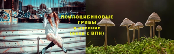 марки lsd Алексеевка
