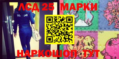 индика Малгобек