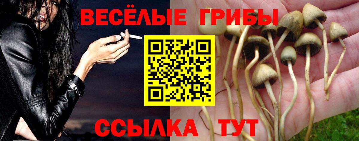 Слободской  Галлюциногенные грибы GOLDEN TEACHER  Вход с VPN  Галлюциногенные грибы MAGIC MUSHROOMS 